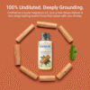 Sandalwood (Chandan) Diffuser Oil for Home Fragrance (100ml) | Pure Sandalwood Aroma Oil | Natural Essential Oil Room Freshener to use with Electric / Reed Diffusers For Home Or Car