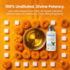 Premium camphor diffuser oil for temple and home