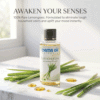 Lemongrass Diffuser Oil for Home Fragrance (100ml) | Pure Essential Oil Aroma room freshener for aromatherapy to use with Electric, Reed Diffusers