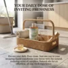 Camphor Floor fragrance liquid for everyday cleaning