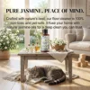 Jasmine Scented floor cleaner fragrance for home