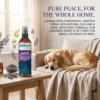 Lavender Sleep spray for pillows and bedding fragrance