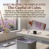 Lavender Floor fragrance liquid for everyday cleaning