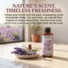 Lavender Floor Cleaner Fragrance 100ml - Image 2
