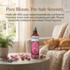 Rose Room Fragrance Spray for Home