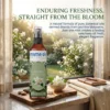 Jasmine Room Fragrance Spray for Home